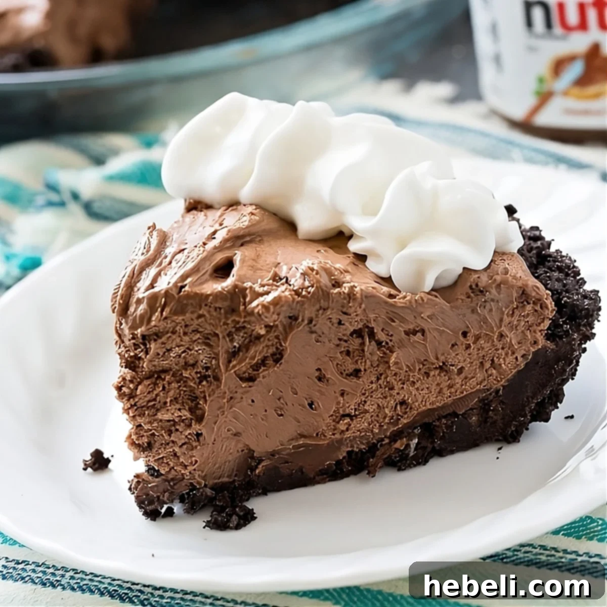 Decadent No-Bake Nutella Pie 2 A perfectly sliced piece of No-Bake Nutella Pie on a white plate, showcasing its rich layers and creamy texture.