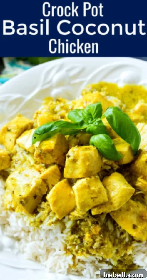 Creamy Slow Cooker Basil Coconut Chicken 6 Crock Pot Basil Coconut Chicken served over rice, garnished with fresh herbs.