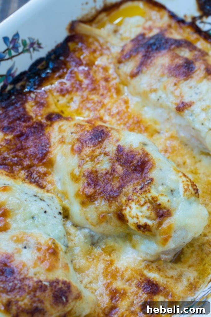 Close-up of baked creamy Swiss chicken, showing the golden cheese topping.