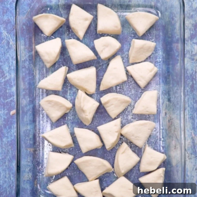 Biscuit pieces spread across the bottom of a baking dish, forming the base layer.