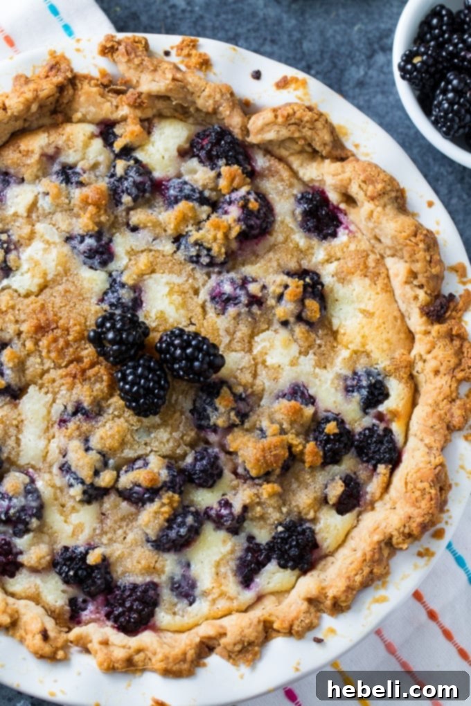 Blackberry Cream Pie, a perfect balance of sweet and tart with an abundance of fresh blackberries