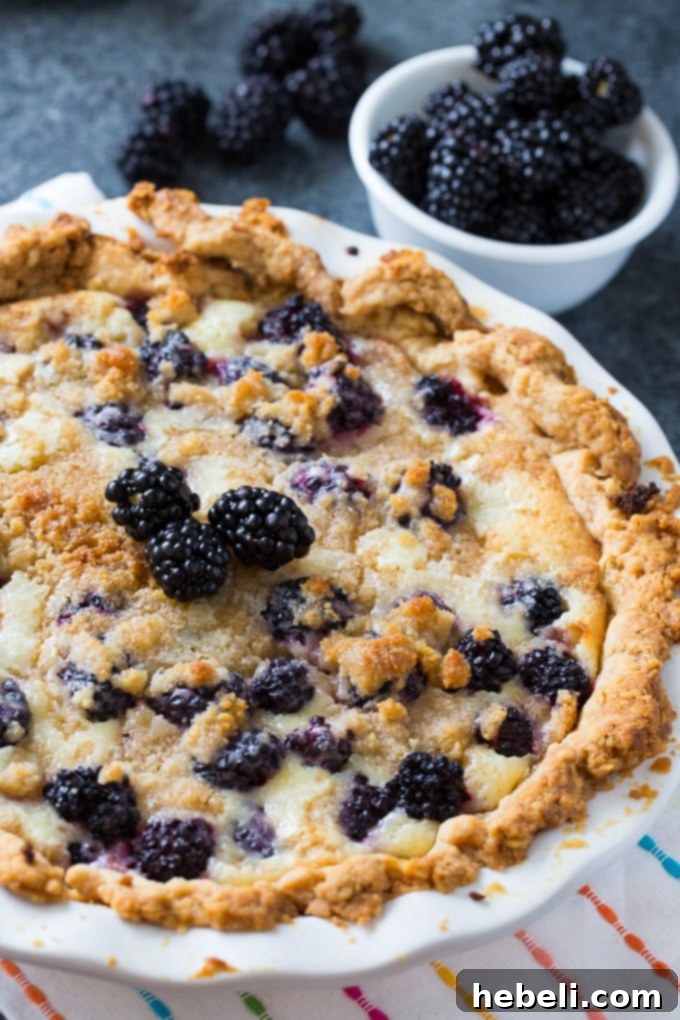 A close-up of Blackberry Cream Pie featuring a golden, flaky pie crust