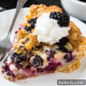 Blackberry Cream Pie ready to be enjoyed