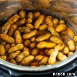 Instant Pot Spicy Boiled Peanuts recipe image