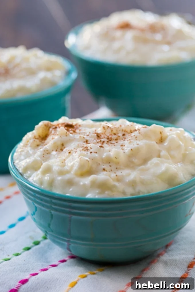 Grandma's Rice Pudding 3 A close-up view of a spoon expertly scooping a portion of perfectly thick and creamy Old-Fashioned Rice Pudding, showcasing its luxurious consistency.