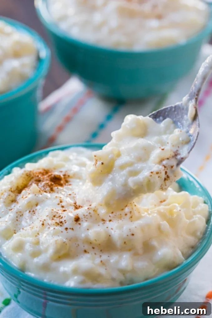Grandma's Rice Pudding 6 Another enticing photo of Old-Fashioned Rice Pudding, presented beautifully in a bowl, highlighting its smooth and comforting appearance.