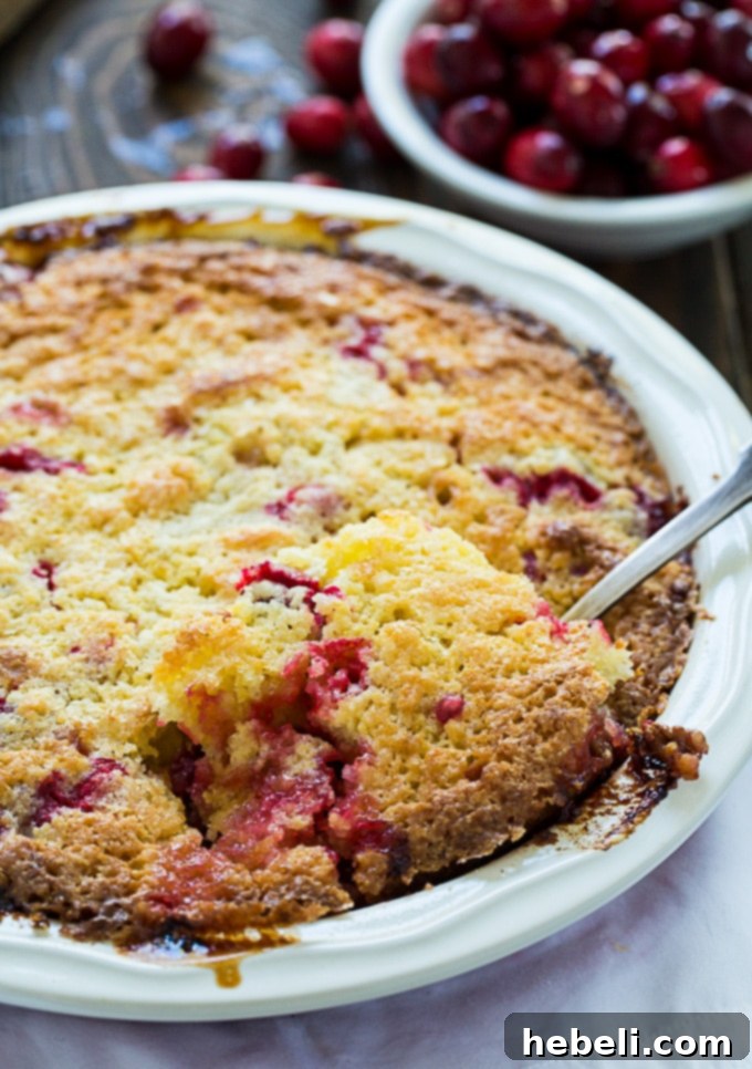 Rustic Cranberry Walnut Cobbler 3 Fresh cranberries and chopped walnuts in a pie pan, sprinkled with sugar
