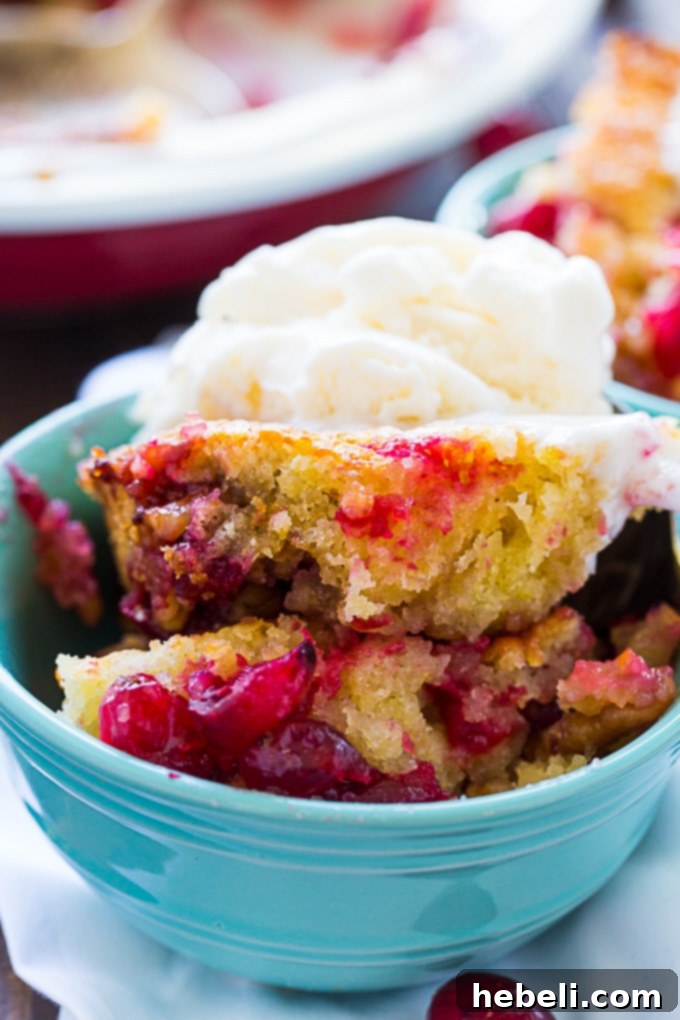 Rustic Cranberry Walnut Cobbler 5 Warm Cranberry Walnut Cobbler served with a scoop of melting vanilla ice cream