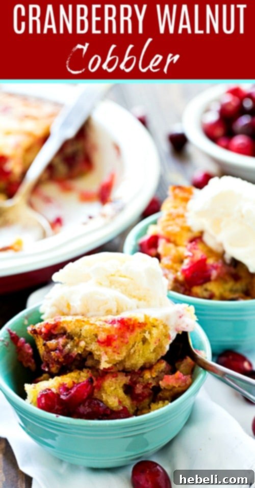 Rustic Cranberry Walnut Cobbler 7 A large serving of Cranberry Walnut Cobbler, showcasing its rich texture and topping