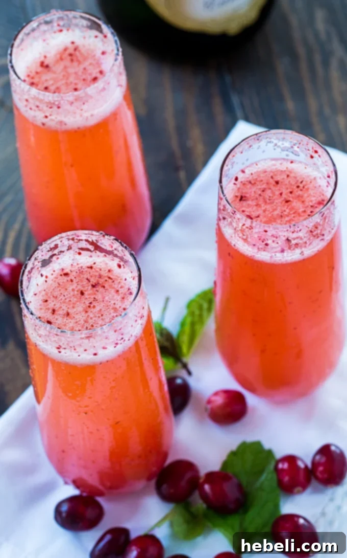 Blending cranberries and orange juice for mimosa concentrate