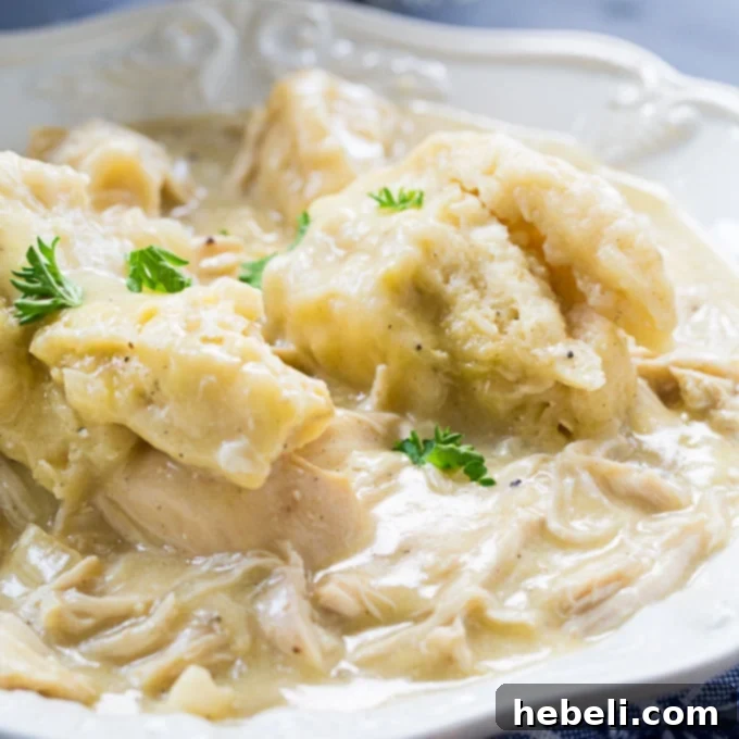 Easy Chicken and Crock Pot Dumplings