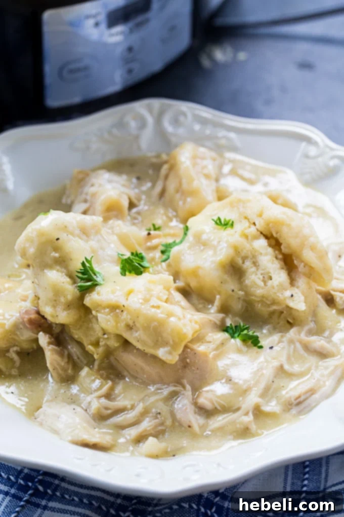 Easy Crock Pot Chicken and Dumplings, ready to serve