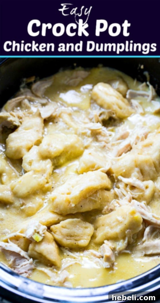 Easy Crock Pot Chicken and Dumplings, garnished and ready to serve. #slowcooker #chicken #southernfood