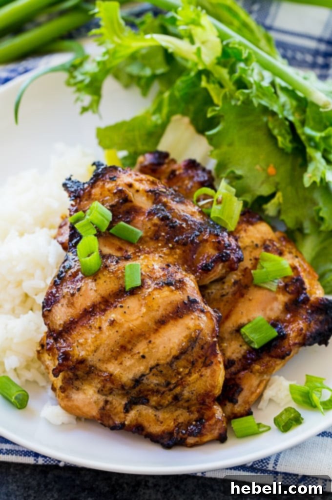 Grilled Teriyaki Chicken served with rice and a fresh salad