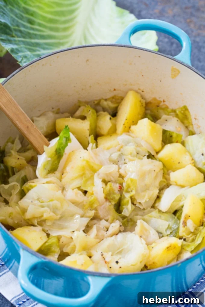 Country Cabbage and Potato Skillet 3 Close-up of Smothered Cabbage and Potatoes with visible tender potatoes and cabbage.
