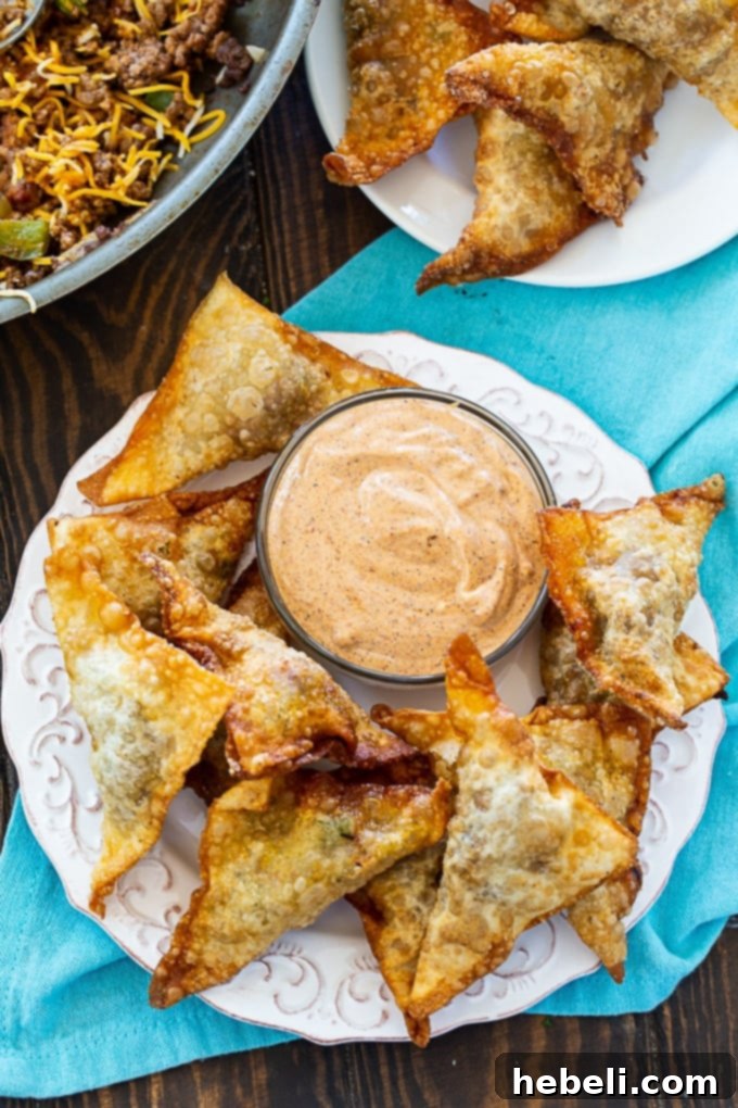 Taco Wonton Bites 4 Taco Wontons