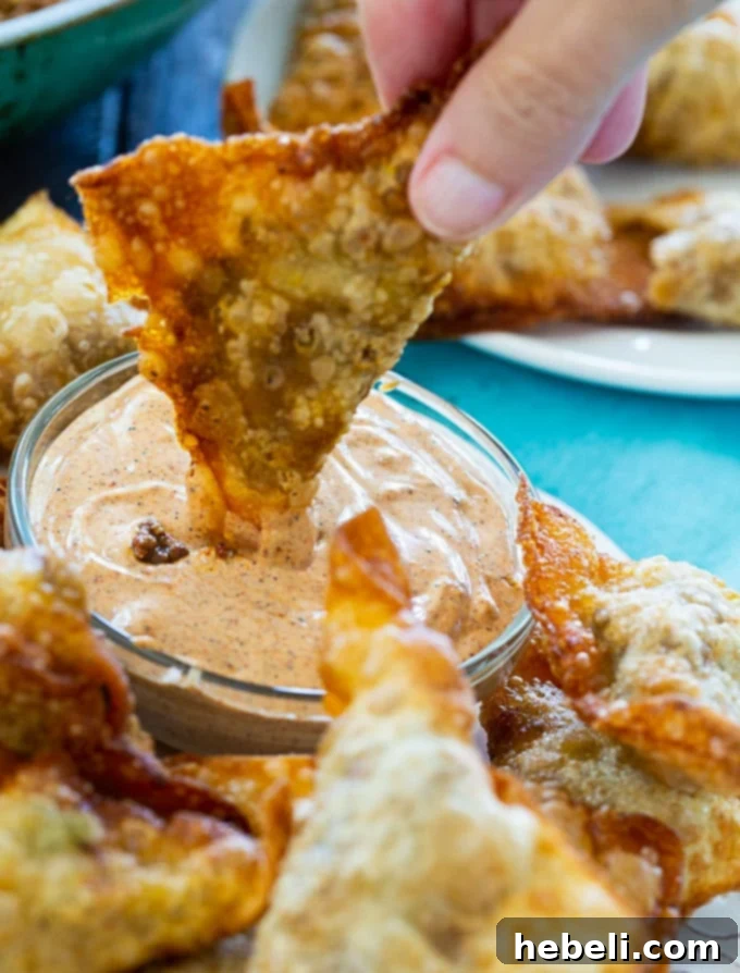 Taco Wonton Bites 5 Taco Wontons