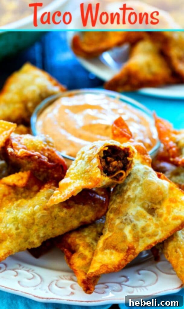 Taco Wonton Bites 7 Taco Wontons with Tex-Mex Mayonnaise