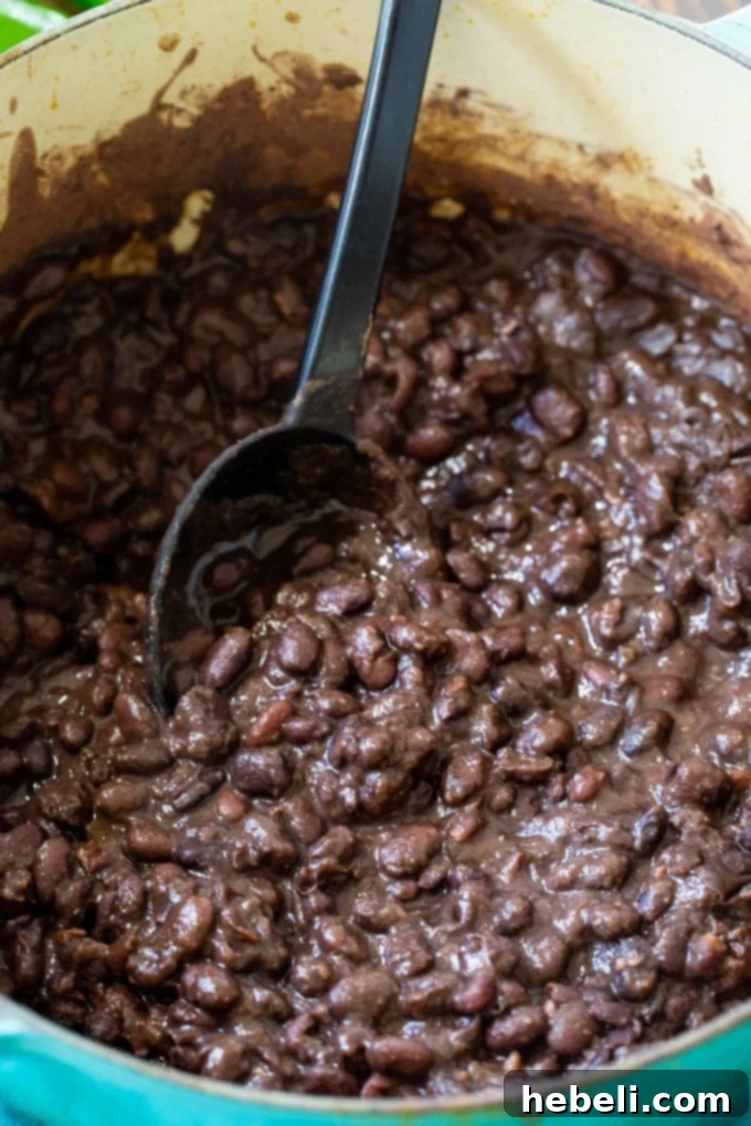 Bold & Spicy Black Beans 3 From Scatch Spicy Black Beans