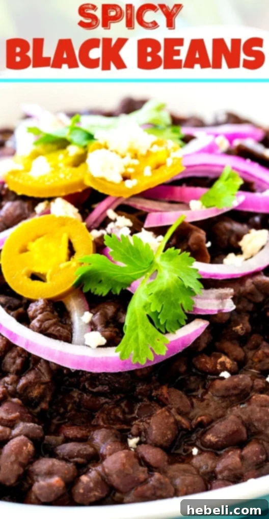 Bold & Spicy Black Beans 7 Spicy Chipotle Black Beans