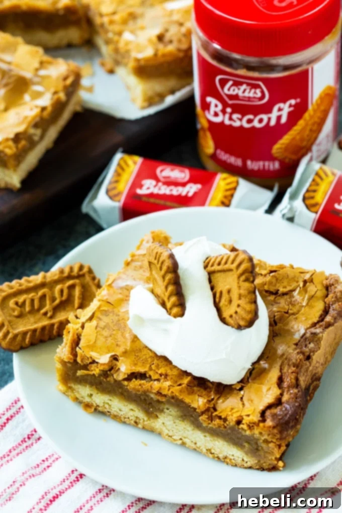 Luscious Biscoff Gooey Butter Bars 3 Close-up of freshly baked Biscoff Gooey Butter Bars, showing the golden crust and creamy topping.
