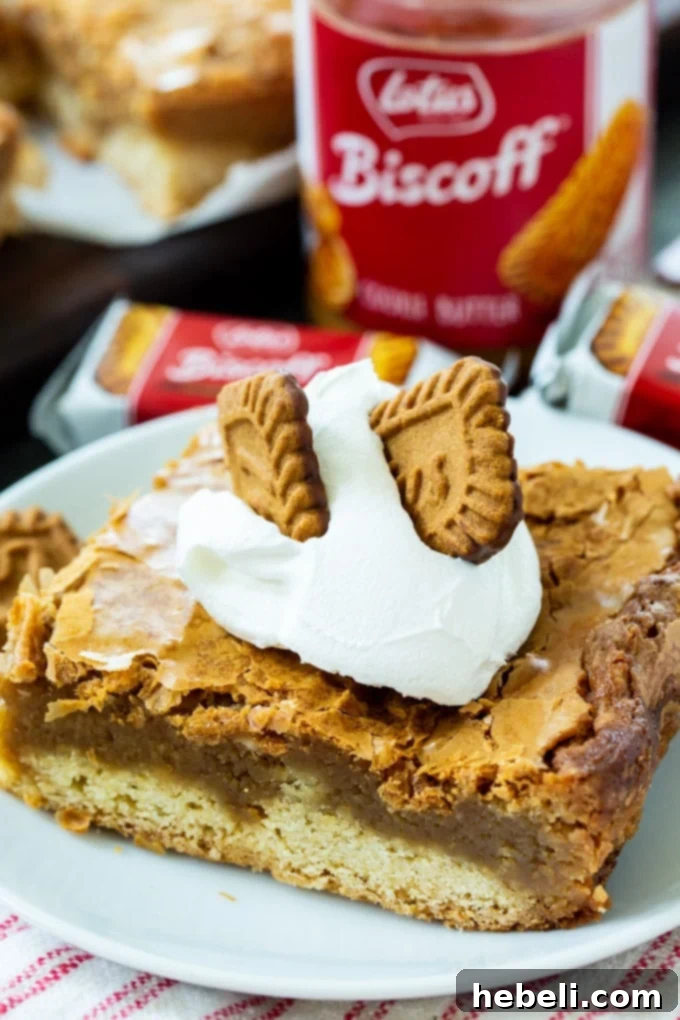 Luscious Biscoff Gooey Butter Bars 4 A tray of Biscoff Gooey Butter Bars cooling, ready for slicing.