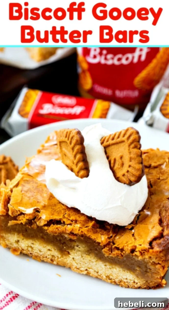 Luscious Biscoff Gooey Butter Bars 6 A Biscoff Gooey Butter Bar shown with a perfect cross-section of its two layers.