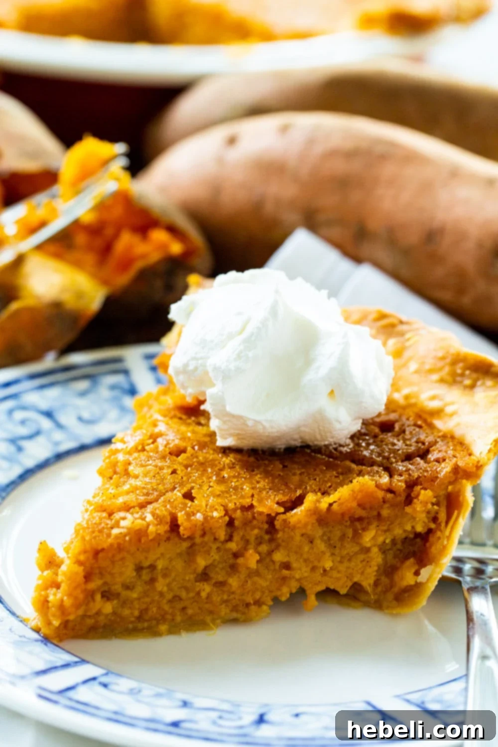 Close-up of a slice of Southern Sweet Potato Pie, elegantly garnished with whipped cream and a sprinkle of cinnamon, highlighting its rich texture.
