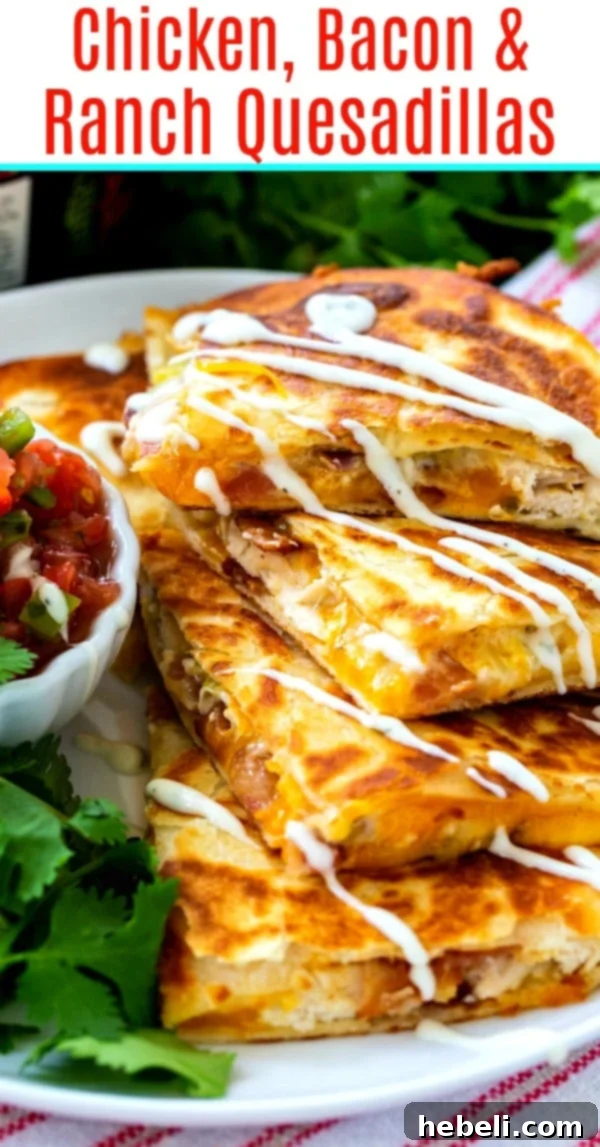 A close-up of a beautifully cooked Chicken, Bacon and Ranch Quesadilla, showcasing its golden-brown crust and tempting filling.