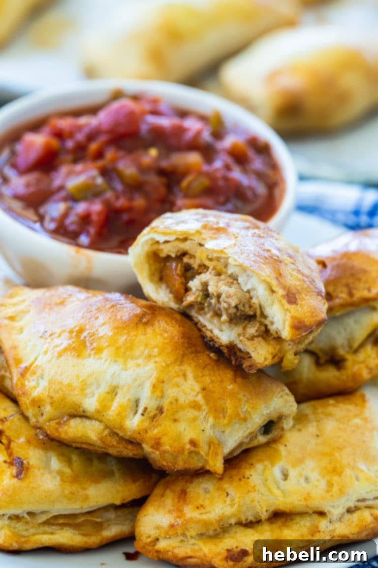 Close-up of a single golden brown Pork Picadillo Empanada, showcasing its flaky crust and savory filling.