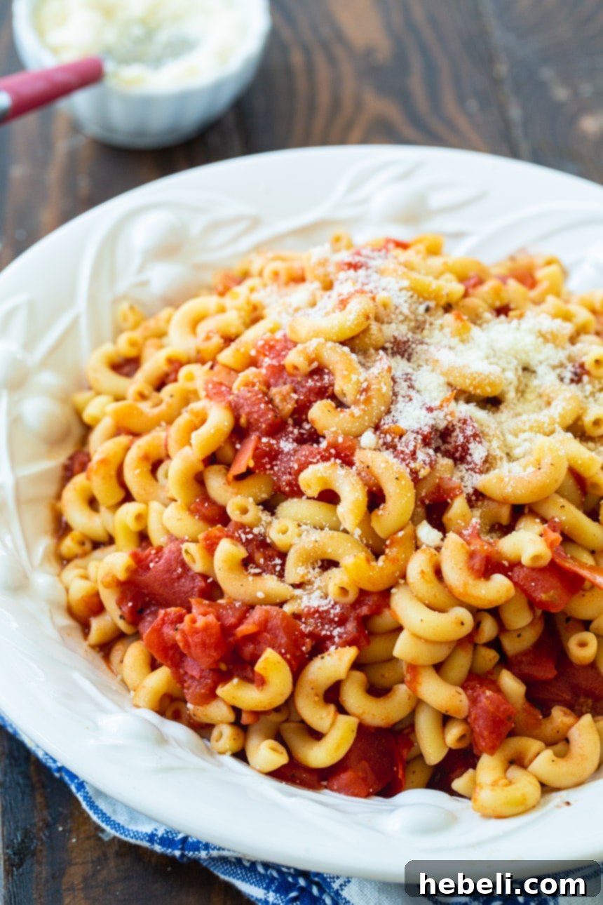 A charming rustic bowl filled with Classic Macaroni and Tomatoes, highlighting the rich tomato sauce, tender macaroni, and warm, comforting steam.
