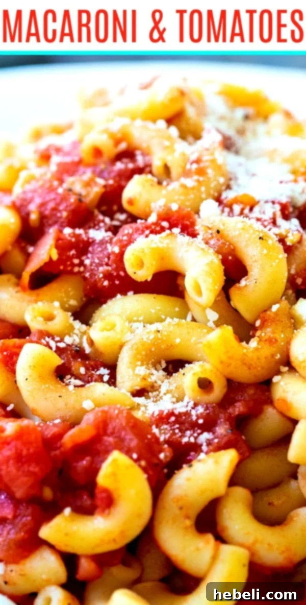 A large, inviting bowl of Classic Macaroni and Tomatoes, garnished with fresh basil, representing a hearty and flavorful easy Southern comfort food meal.