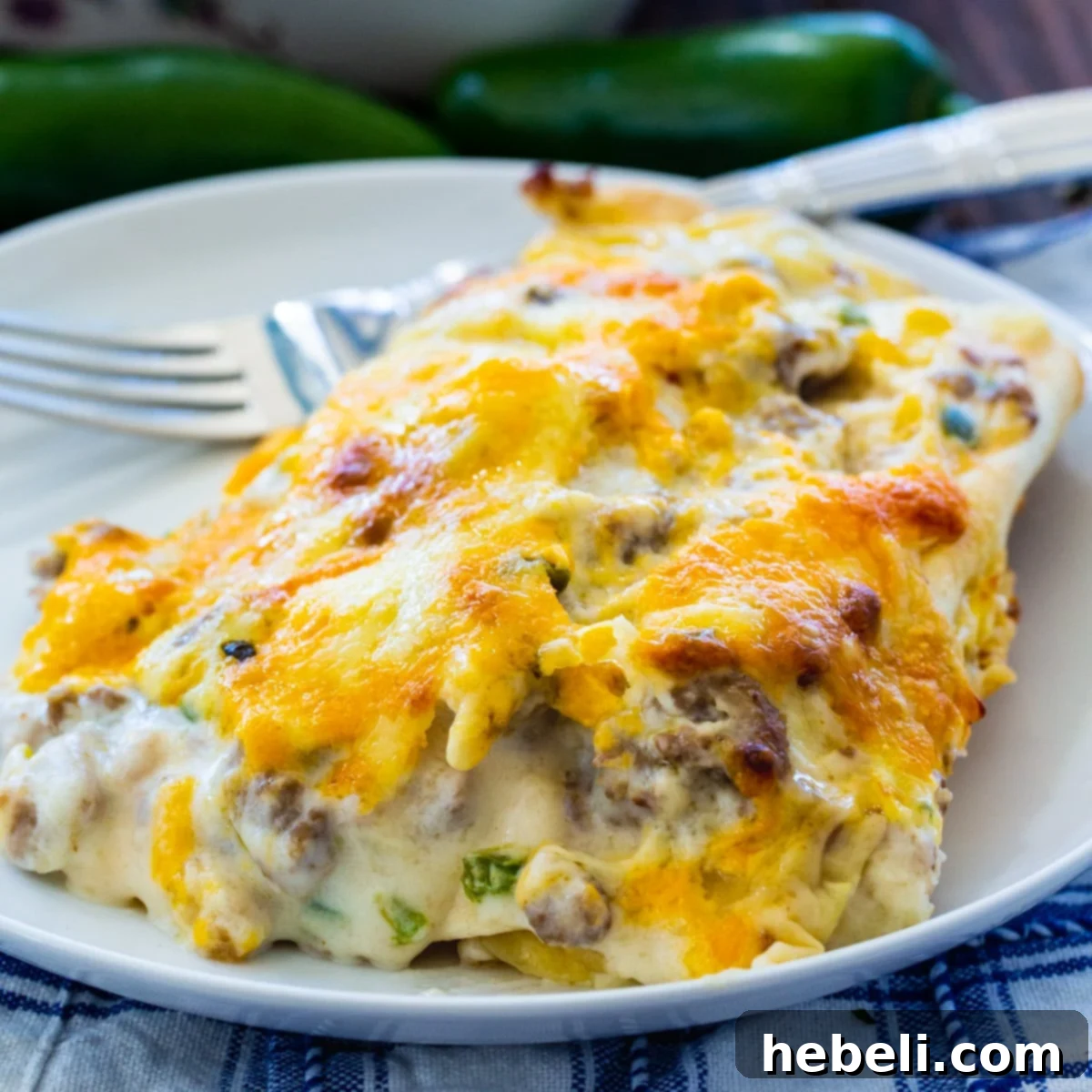Enchiladas dished up on a plate, ready to be enjoyed.