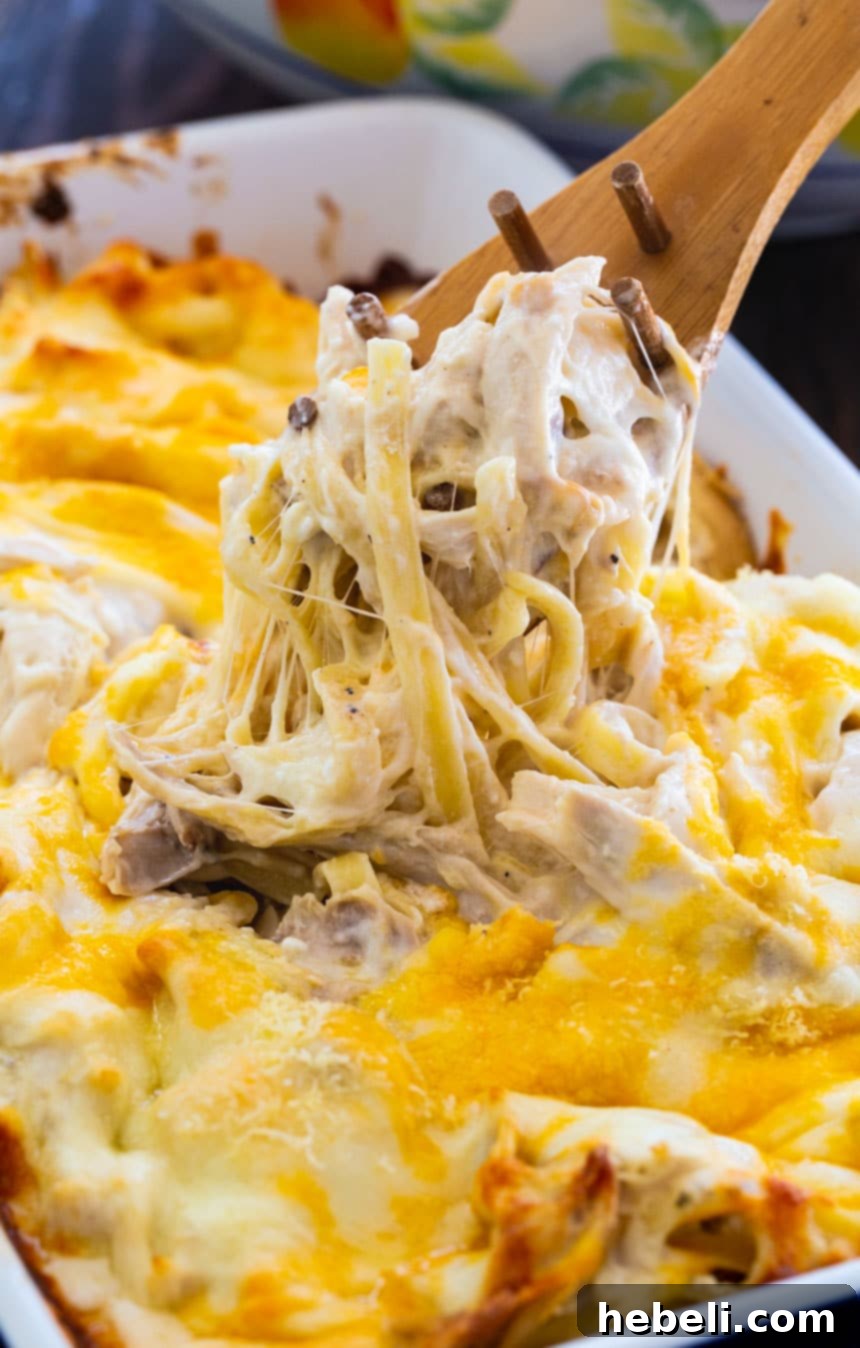 The Ultimate Chicken Alfredo 4 Million Dollar Chicken Alfredo. A wide shot of the casserole, ready to serve.