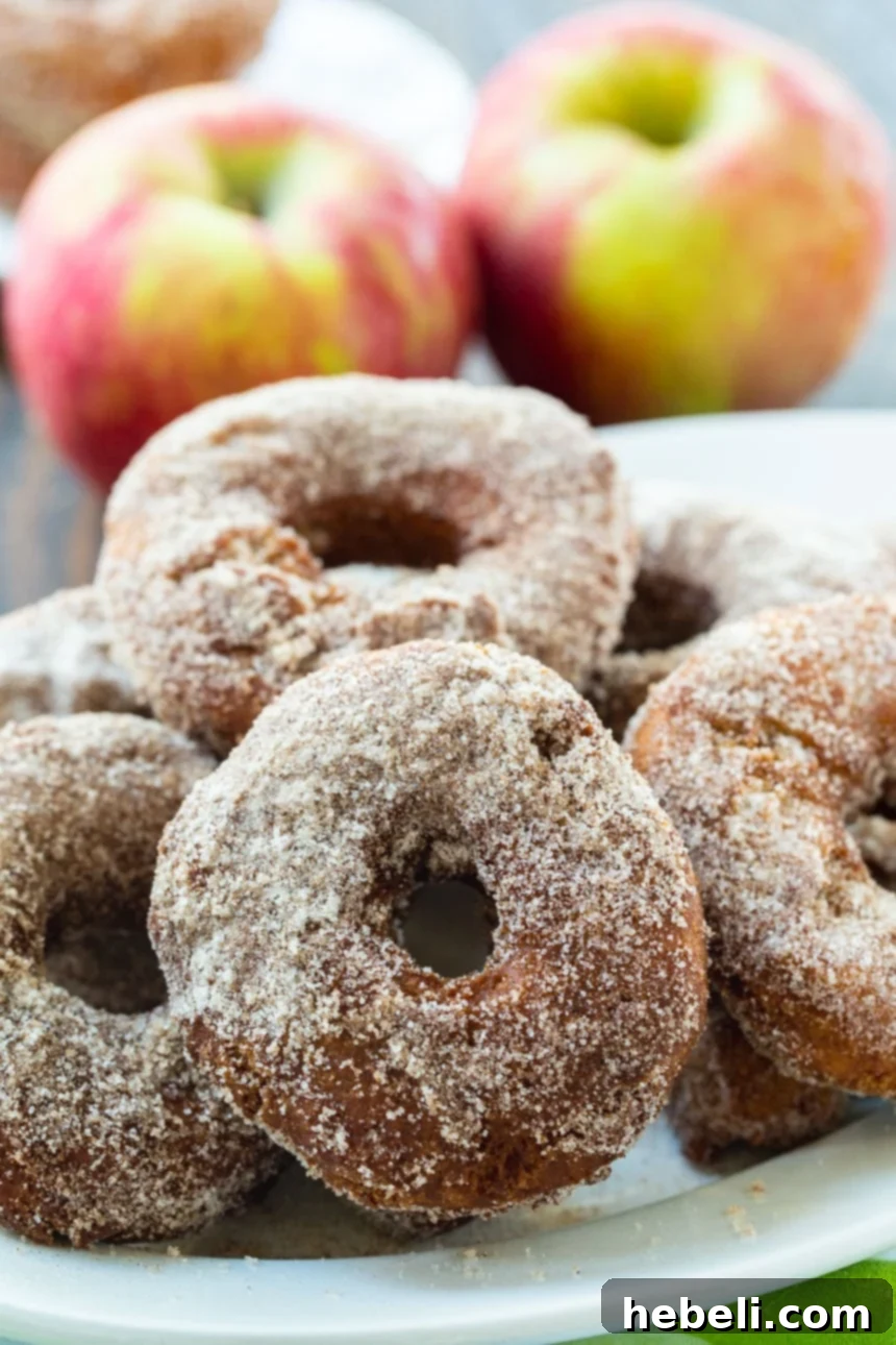 Freshly cut Apple Cider Doughnuts laid out on a lightly floured surface, awaiting frying.