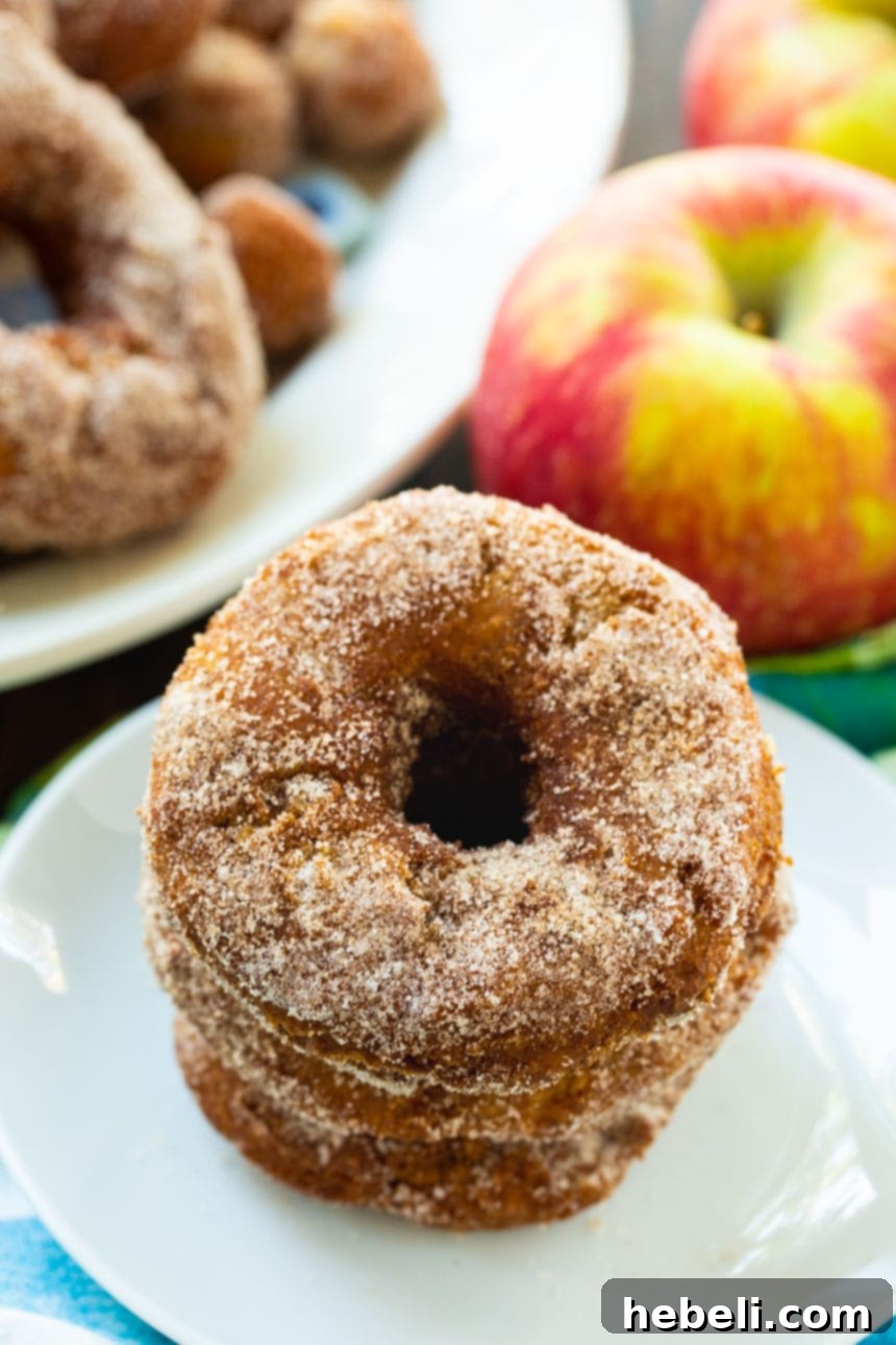 Freshly fried Apple Cider Doughnuts being tossed in a bowl of cinnamon-sugar.