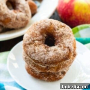 Close-up of a perfectly fried Apple Cider Doughnut, ready to be enjoyed.