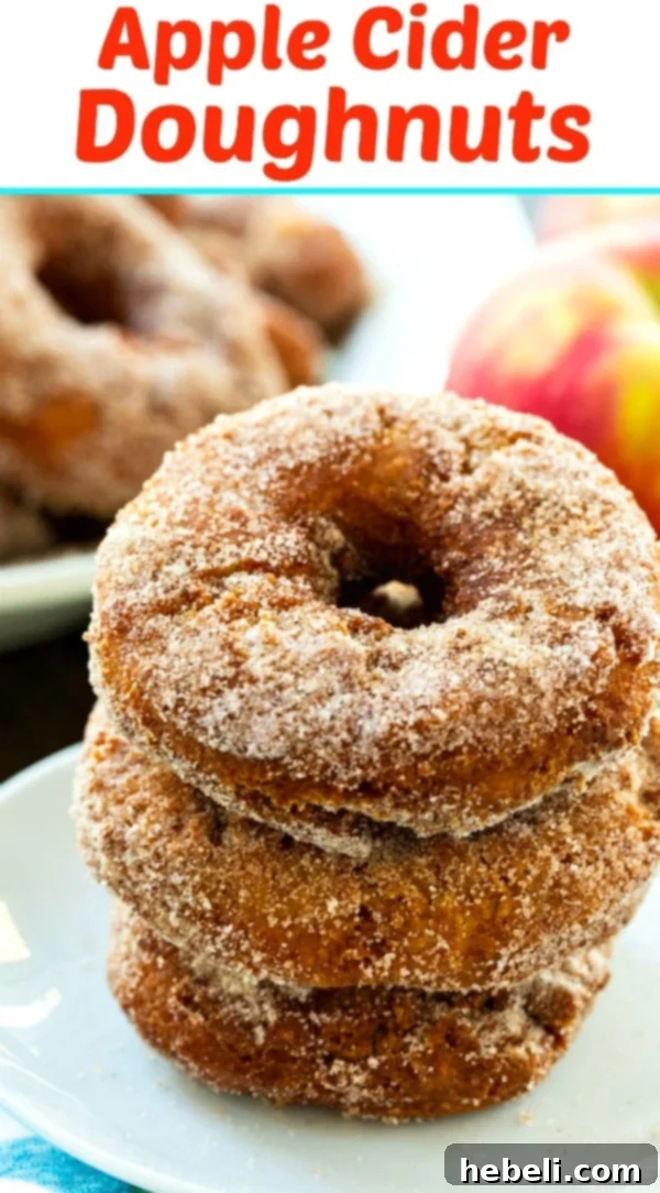 A close-up shot of a single Apple Cider Doughnut, showcasing its golden-brown exterior and generous cinnamon-sugar coating.