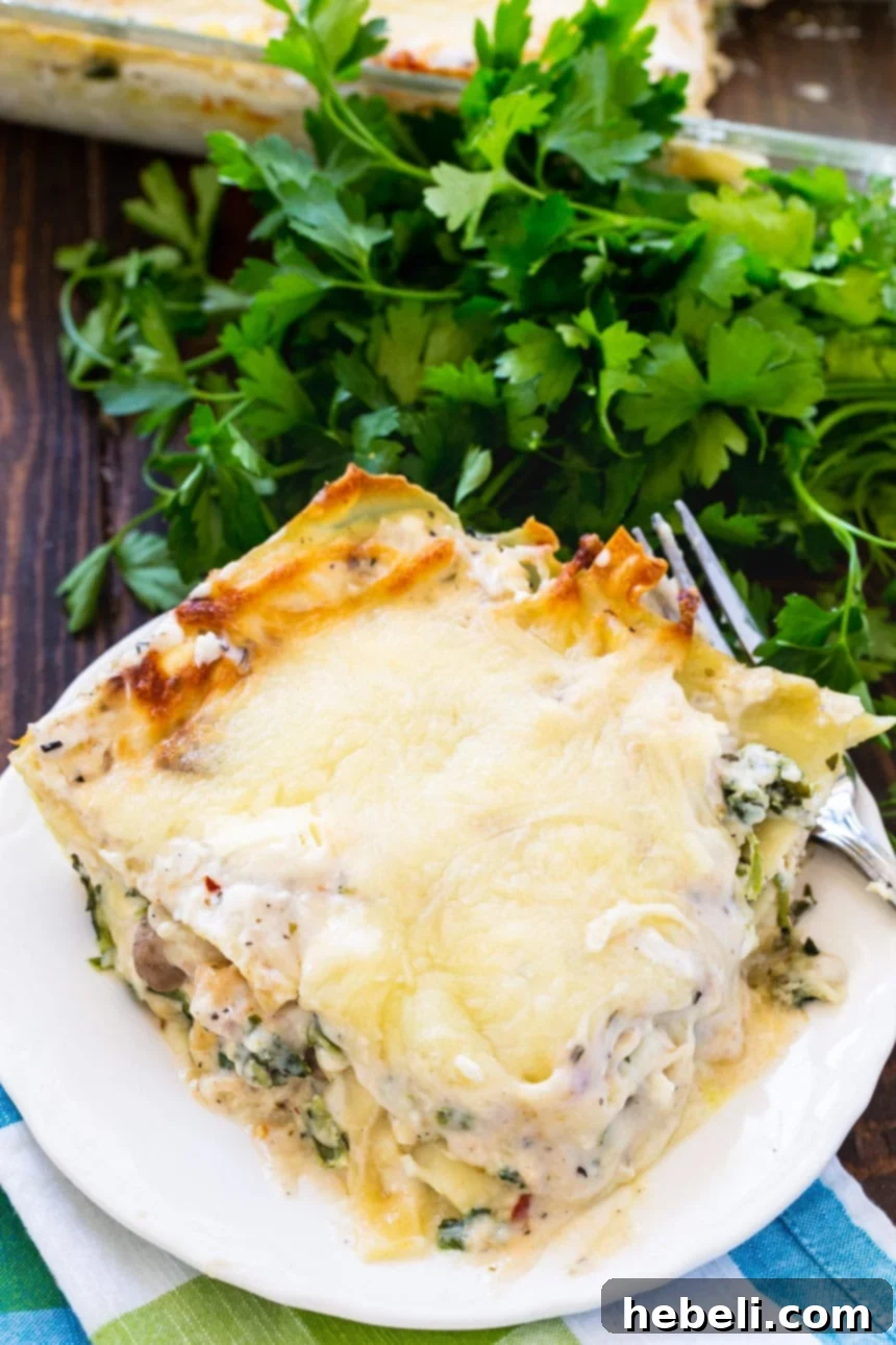 Close-up of Creamy Chicken Lasagna with rich cream cheese based white sauce and golden cheese crust.