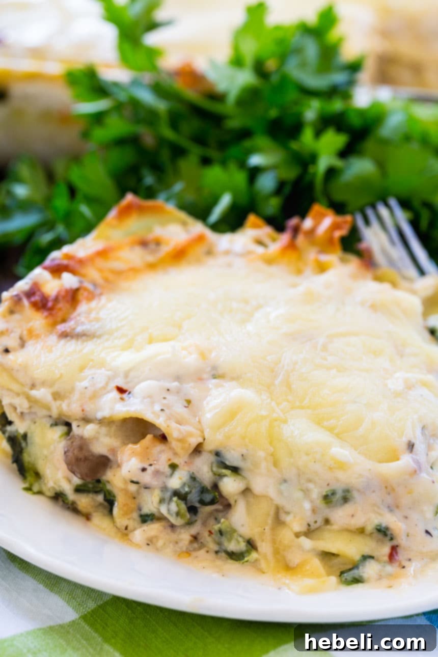 Layers of creamy white sauce chicken lasagna with spinach and cheese.