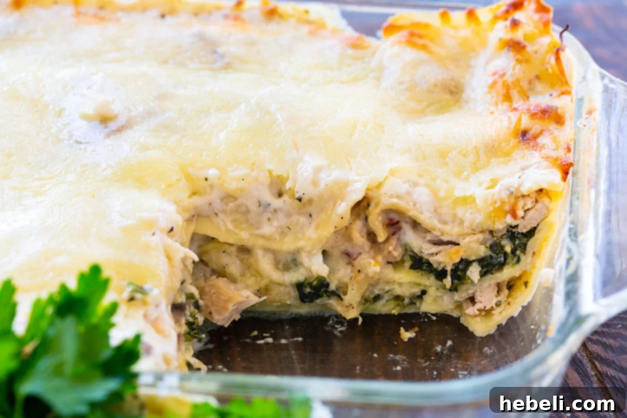 Slice of creamy white sauce chicken lasagna with melted cheese.