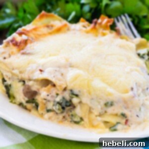 Creamy Chicken Lasagna