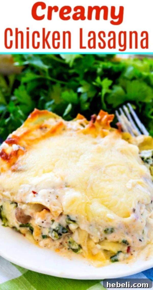 Close up of a full pan of Creamy Chicken Lasagna baked to golden perfection.