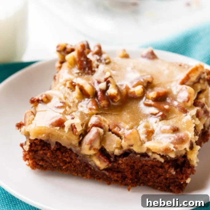 Chocolate Praline Cake - a rich chocolate cake with a thick, sugary pecan praline icing, perfect for Mardi Gras