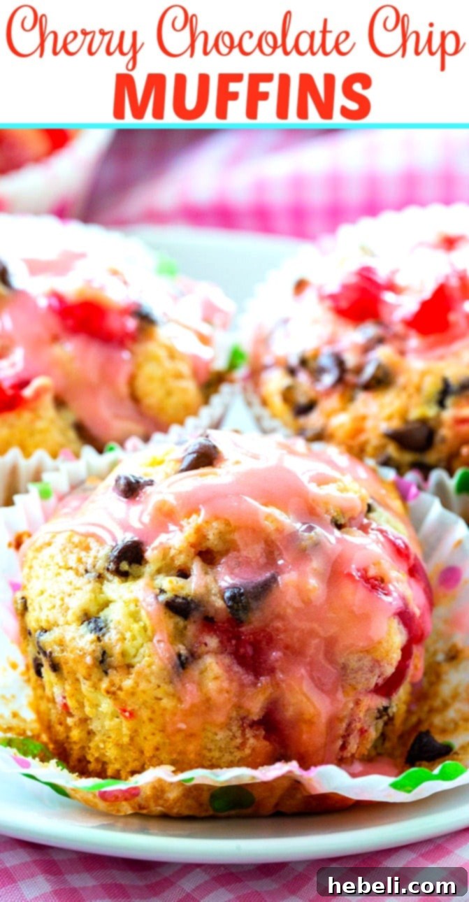 Close-up of Cherry Chocolate Chip Muffins on a plate, highlighting the texture and ingredients.