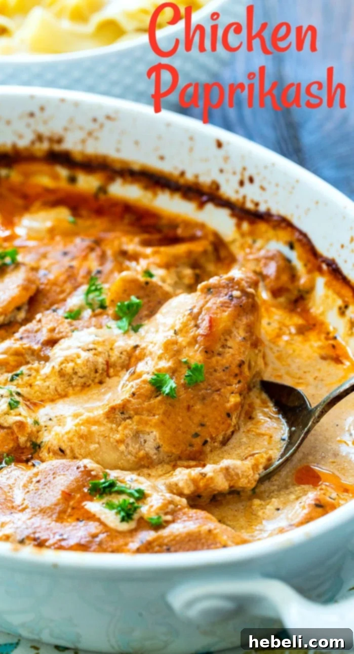Another view of the creamy Chicken Paprikash in a white baking dish, ready to be served.