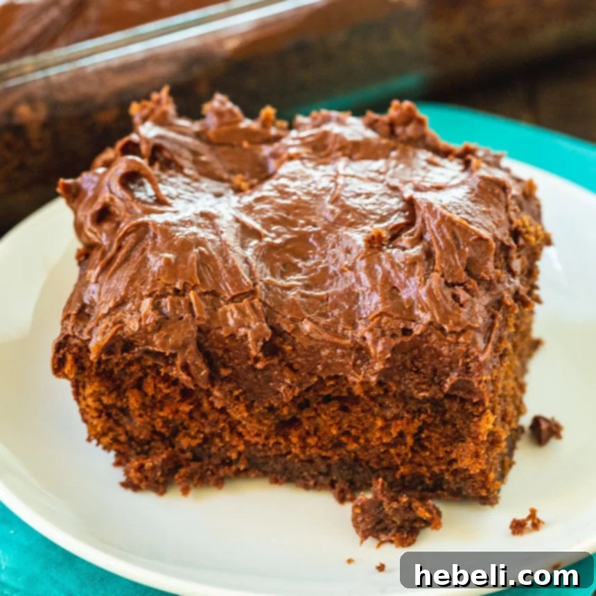 Rich chocolate sheet cake with chocolate icing