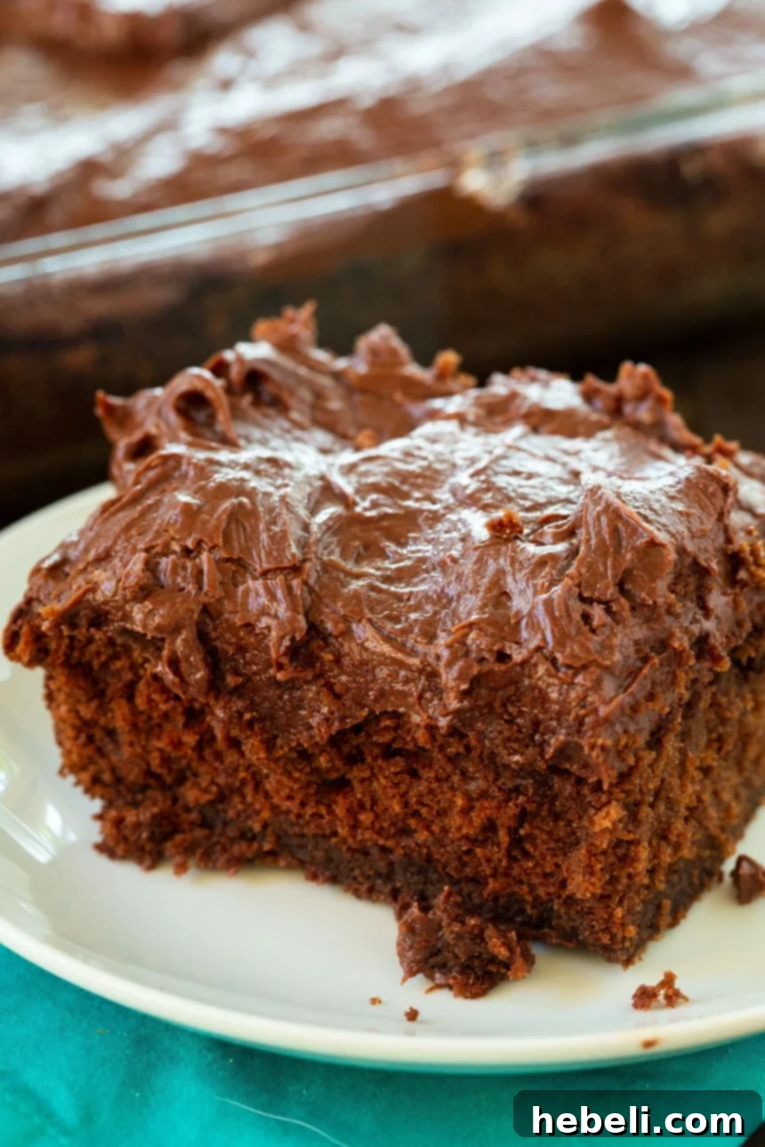 Midnight Chocolate Sheet Cake