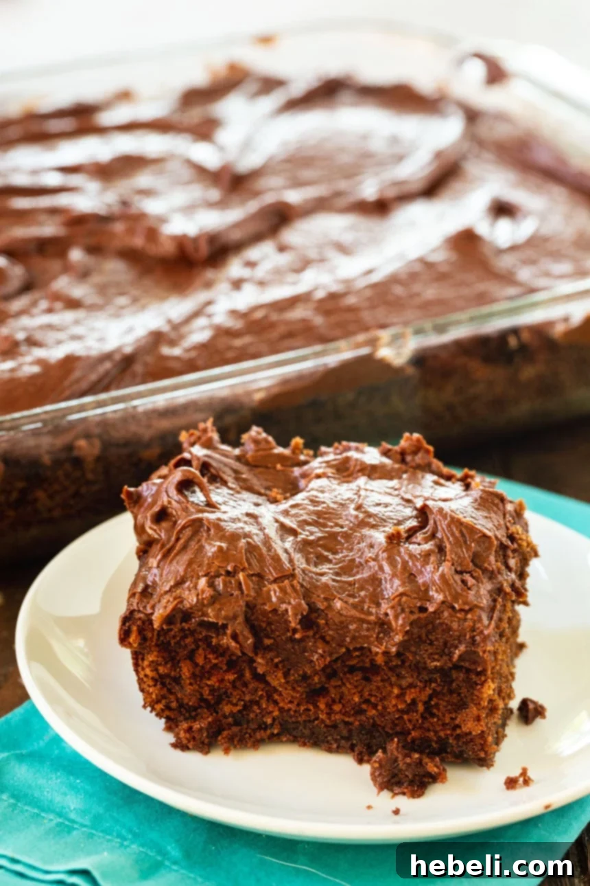 Midnight Chocolate Cake 