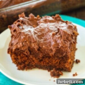 Rich chocolate sheet cake with chocolate icing